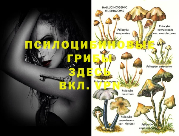 эйфоретик Армянск